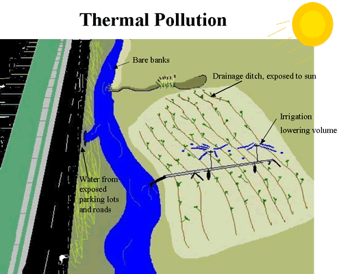 thermal pollution